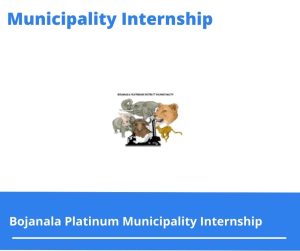 Bojanala Platinum Municipality Internships @bojanala.gov.za