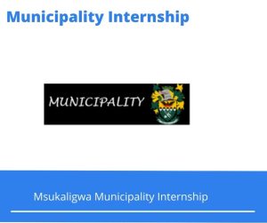 Msukaligwa Municipality Internships @msukaligwa.gov.za