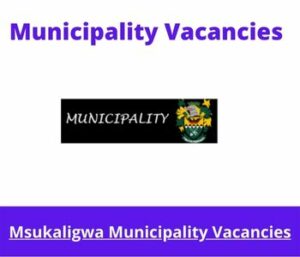 Msukaligwa Municipality Vacancies 2023 Apply @msukaligwa.gov.za