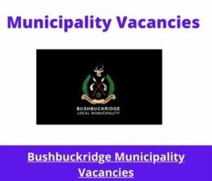 Municipality Vacancies 17