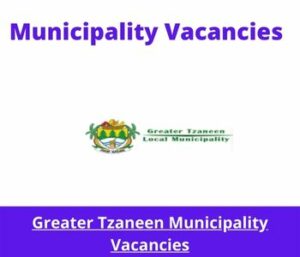 Municipality Vacancies 36