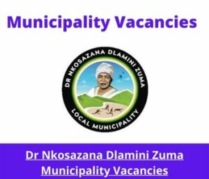 Municipality Vacancies 91